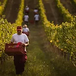 Farm stay Boutique Wine - Dianella