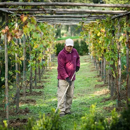 Boutique Wine - Dianella Séjour à la ferme *