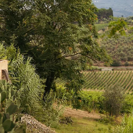 Séjour à la ferme Boutique Wine - Dianella *