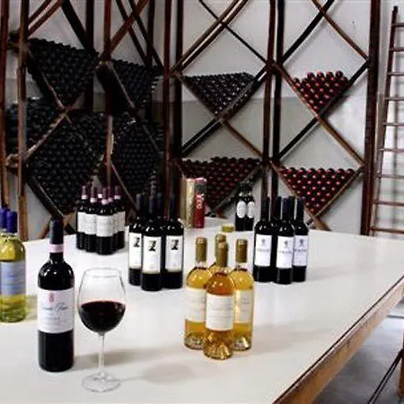Boutique Wine - Dianella Vinci