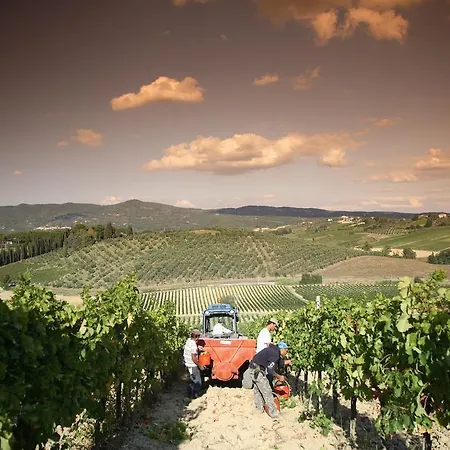 Séjour à la ferme Boutique Wine - Dianella